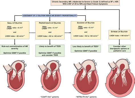 lv dilatation